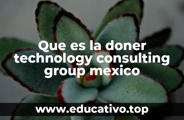 Que es la doner technology consulting group mexico
