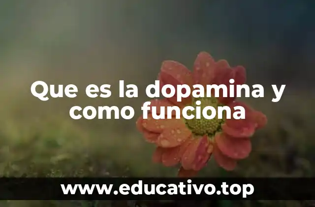 Que es la dopamina y como funciona