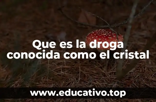 Que es la droga conocida como el cristal