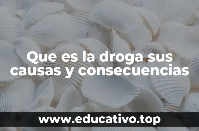 Que es la droga sus causas y consecuencias
