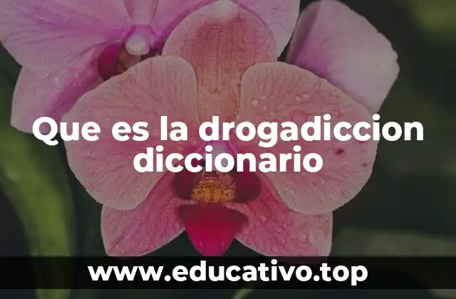 Que es la drogadiccion diccionario