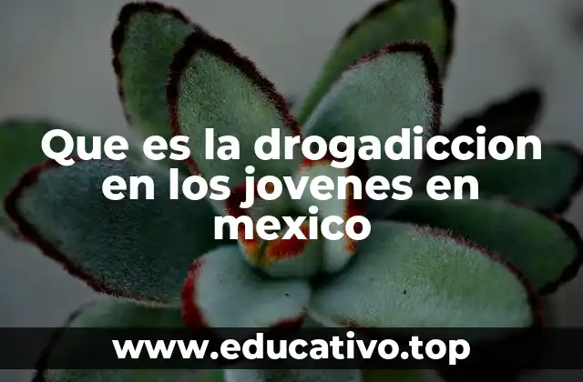 Que es la drogadiccion en los jovenes en mexico