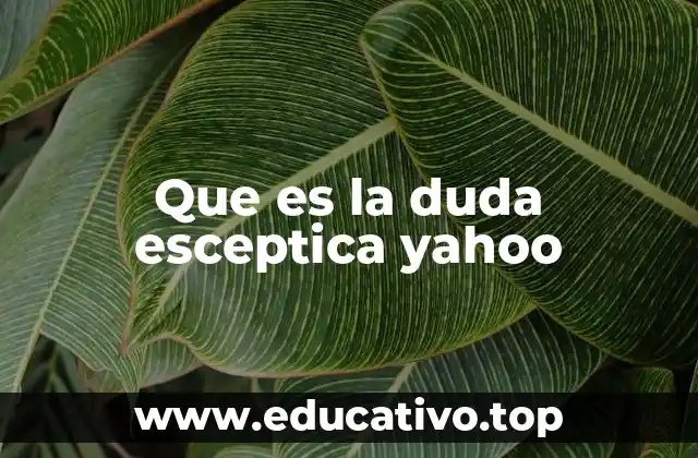 Que es la duda esceptica yahoo