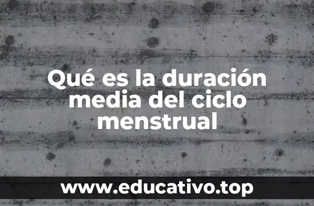 Qué es la duración media del ciclo menstrual