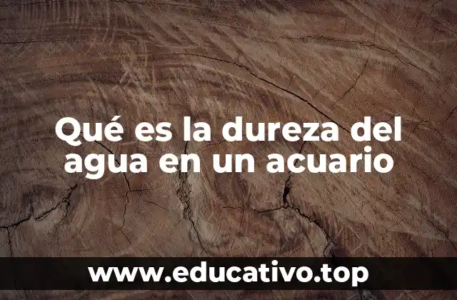 Qué es la dureza del agua en un acuario