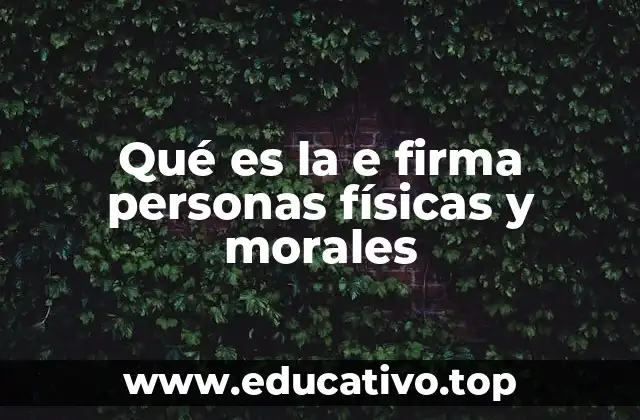 Qué es la e firma personas físicas y morales
