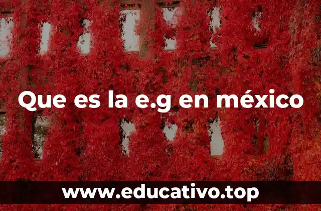 El papel de las evaluaciones generales en el sistema educativo mexicano