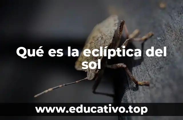 Qué es la eclíptica del sol