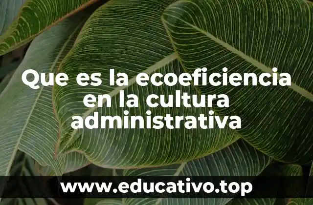 Que es la ecoeficiencia en la cultura administrativa