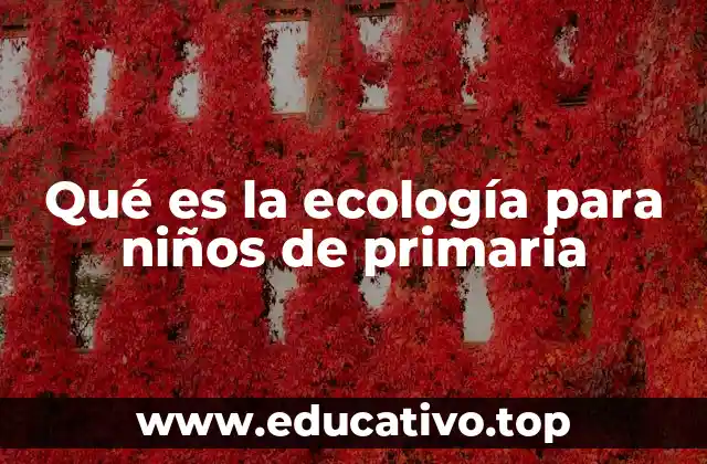 Qué es la ecología para niños de primaria