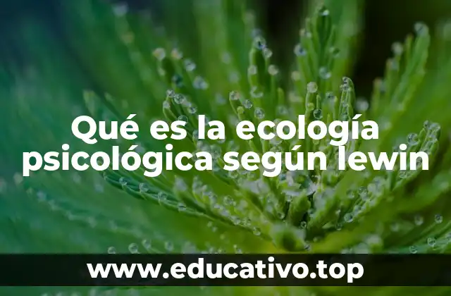 Qué es la ecología psicológica según lewin