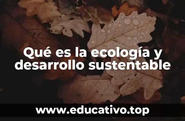 Qué es la ecología y desarrollo sustentable