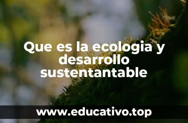 La importancia de equilibrar la naturaleza y la sociedad