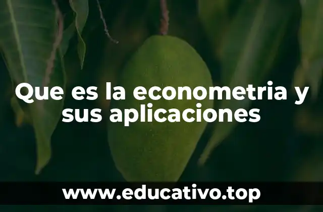 Que es la econometria y sus aplicaciones