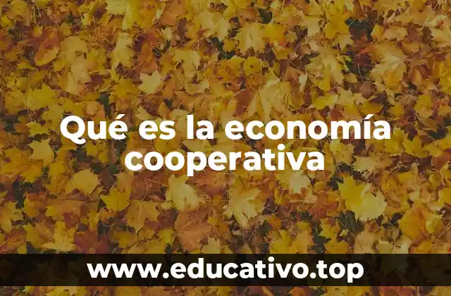 Qué es la economía cooperativa