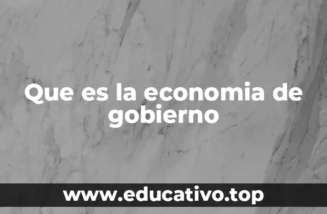 Que es la economia de gobierno