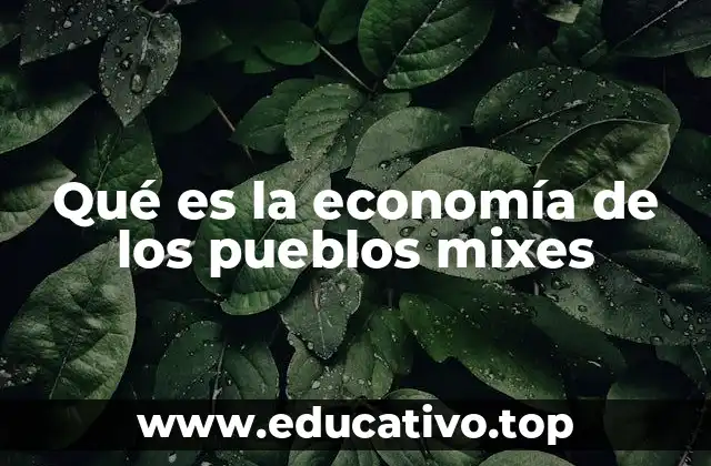 Qué es la economía de los pueblos mixes