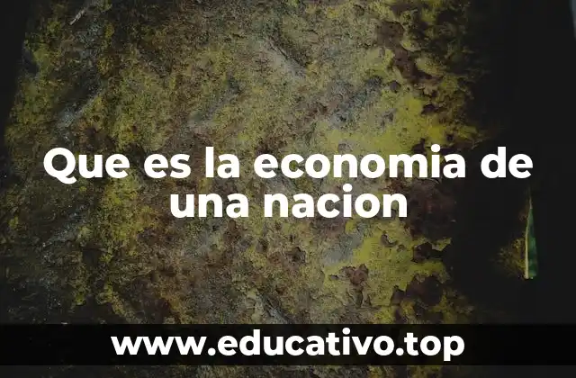 Que es la economia de una nacion