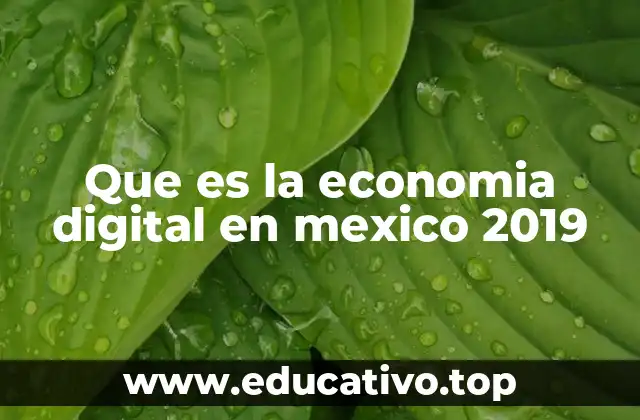 Que es la economia digital en mexico 2019