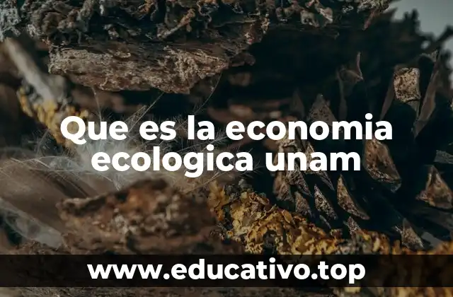 Que es la economia ecologica unam