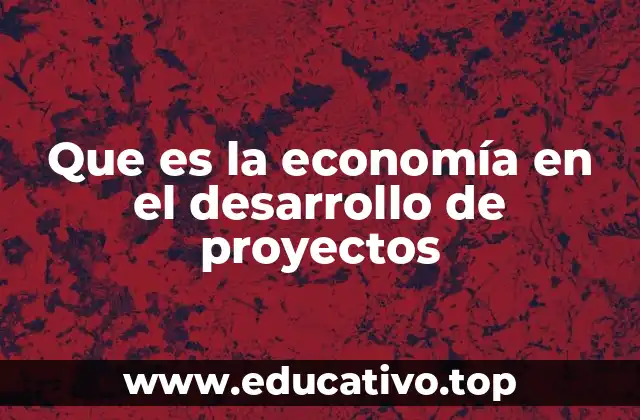 Que es la economía en el desarrollo de proyectos