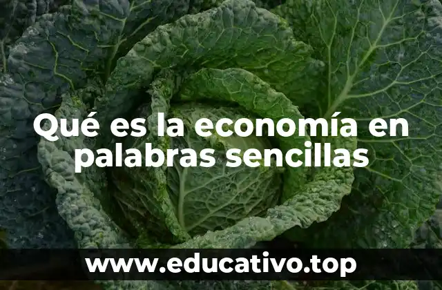 Qué es la economía en palabras sencillas