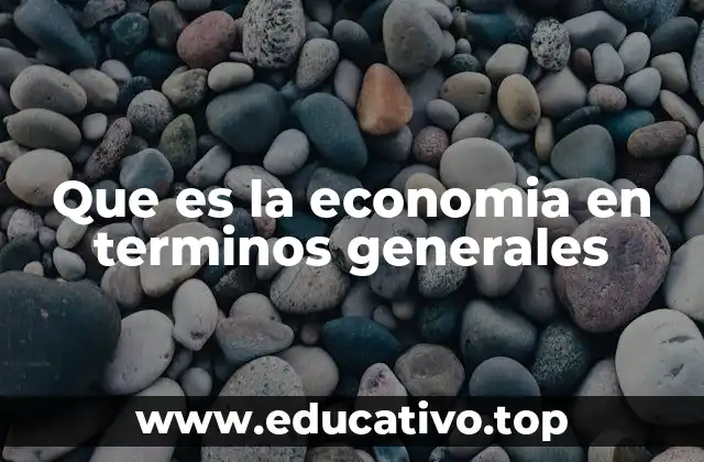 Que es la economia en terminos generales