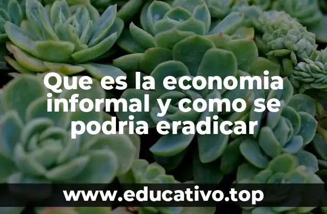 Que es la economia informal y como se podria eradicar