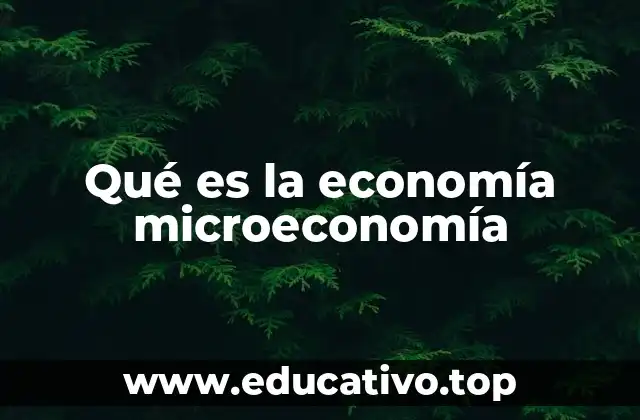 Qué es la economía microeconomía