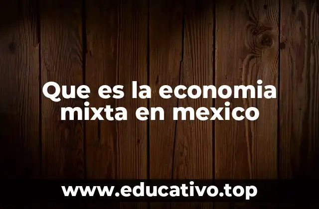 Que es la economia mixta en mexico