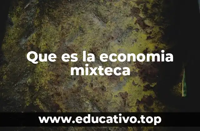 Que es la economia mixteca