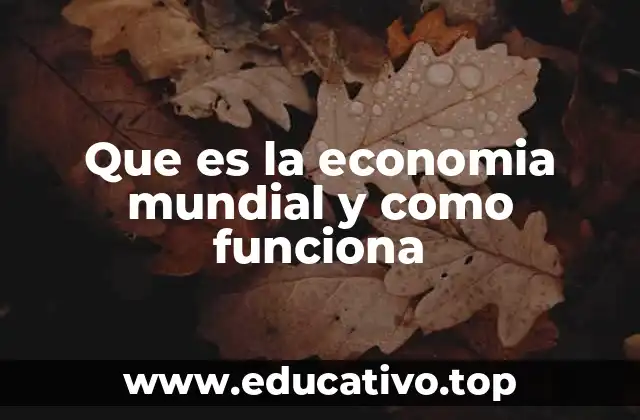 Que es la economia mundial y como funciona