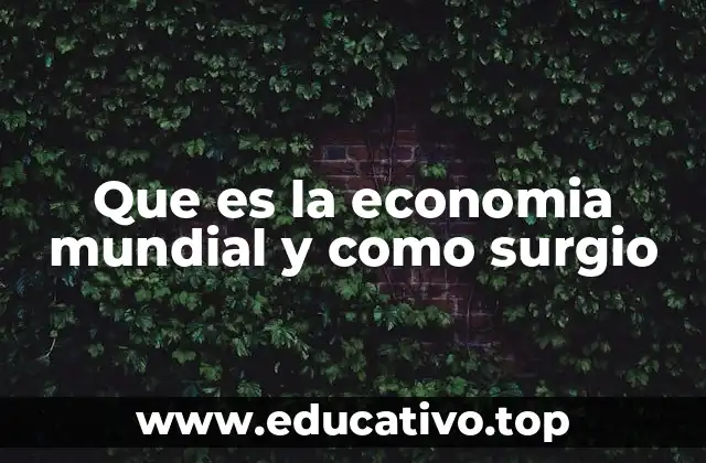 Que es la economia mundial y como surgio