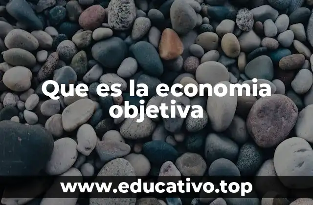 Que es la economia objetiva