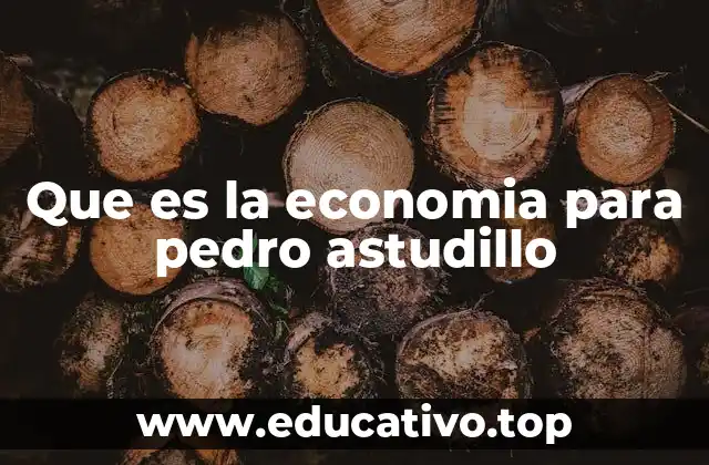 Que es la economia para pedro astudillo