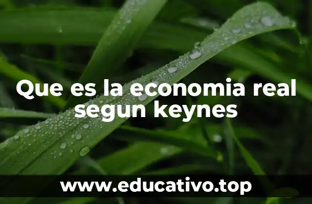 Que es la economia real segun keynes
