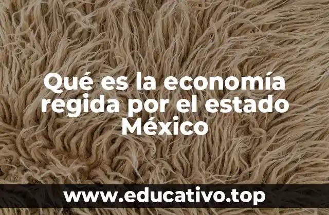Qué es la economía regida por el estado México