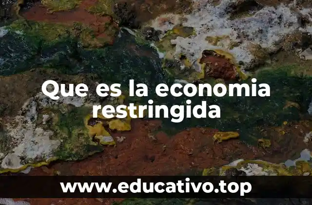 Que es la economia restringida