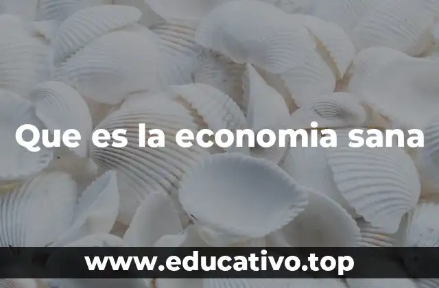 Que es la economia sana