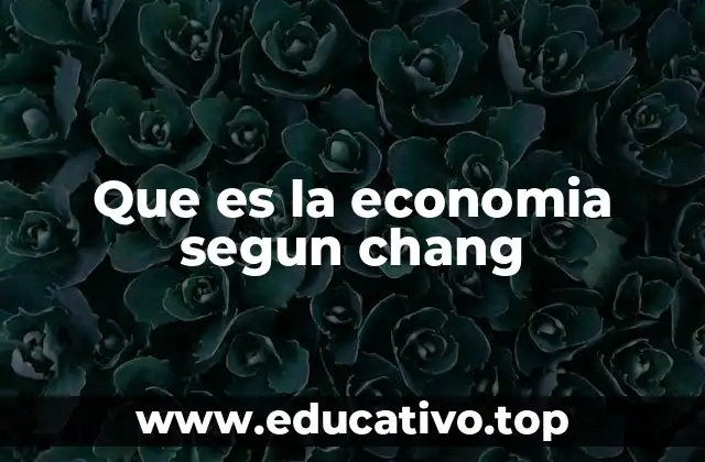 Que es la economia segun chang