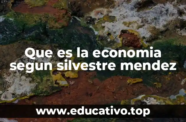 Que es la economia segun silvestre mendez