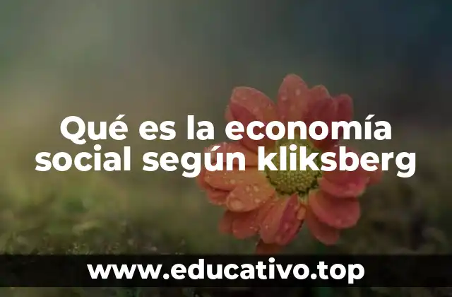 Qué es la economía social según kliksberg