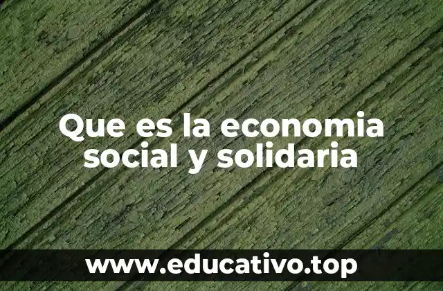 Que es la economia social y solidaria