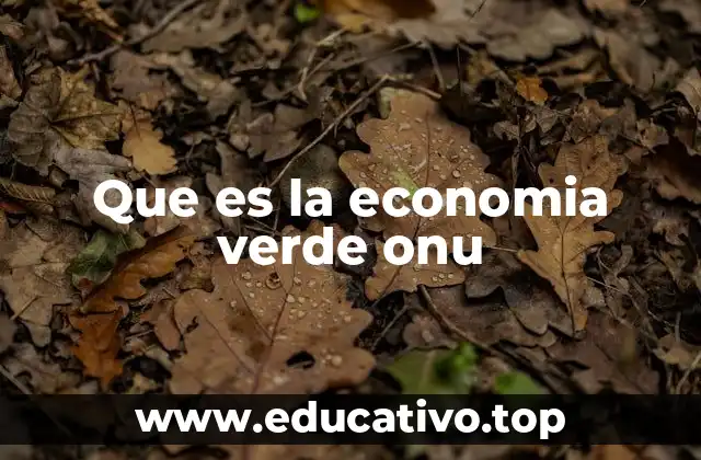 Que es la economia verde onu