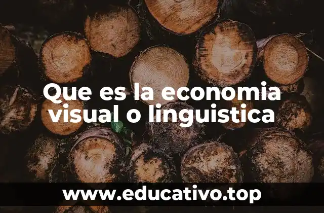 La economía del procesamiento visual en la comunicación moderna