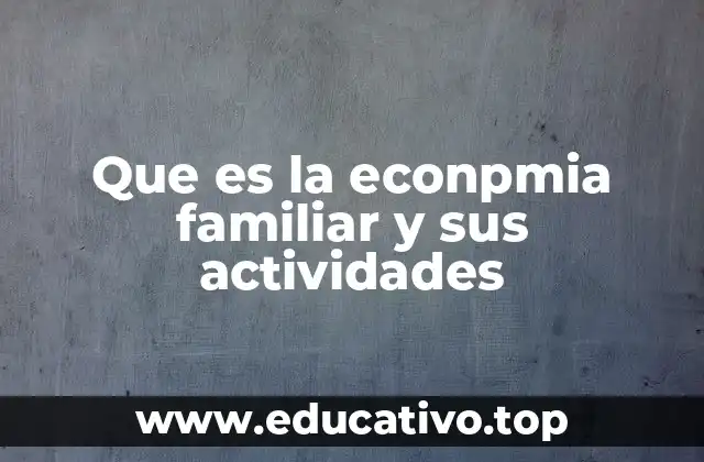 Que es la econpmia familiar y sus actividades