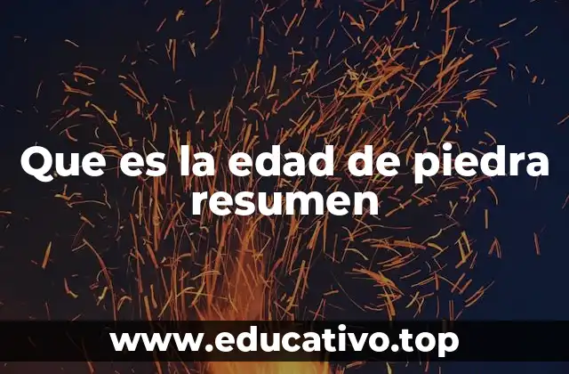 Que es la edad de piedra resumen