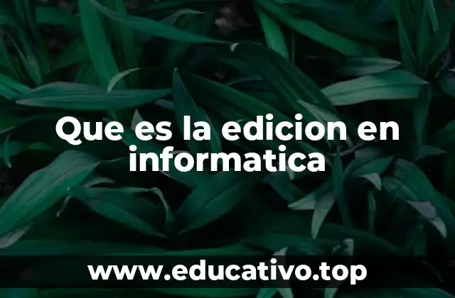 Que es la edicion en informatica