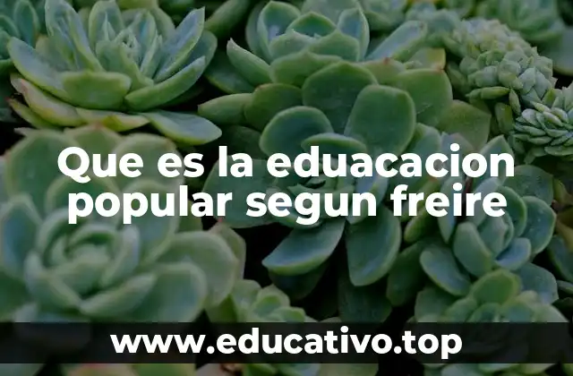 Que es la eduacacion popular segun freire