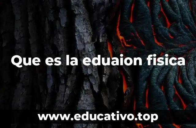 Que es la eduaion fisica